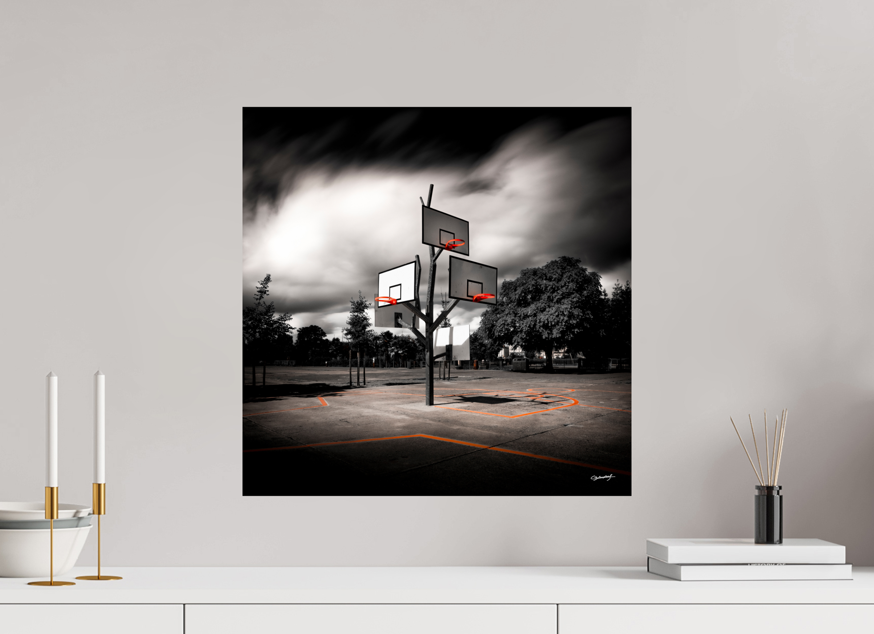 50 x 50 cm, TIRAGE PHOTO CONTRECOLLÉ SUR SUPPORT ALUMINIUM ARBRE À BASKET