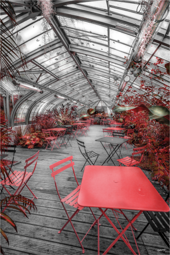 Main image SERRE DU JARDIN DES PLANTES- Nantes