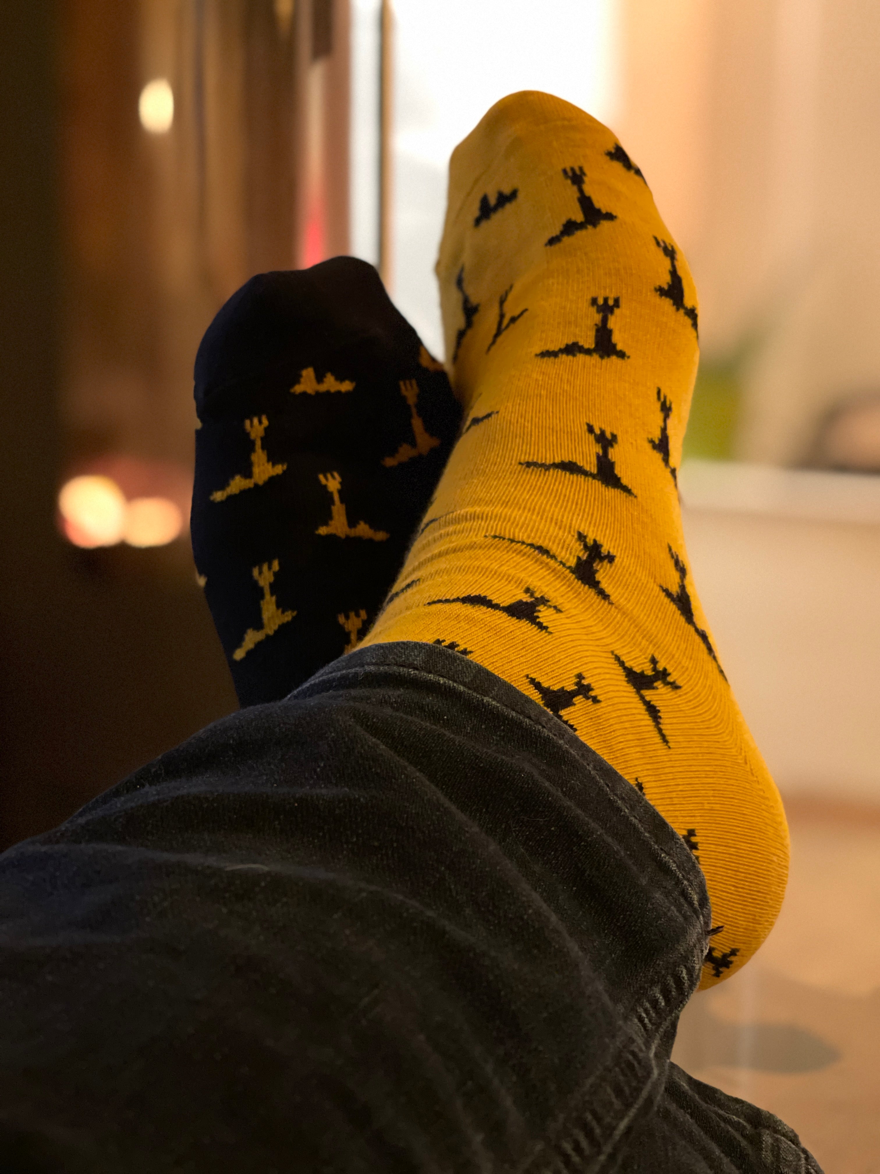 Chaussettes Pile ou Face X La Grue Jaune