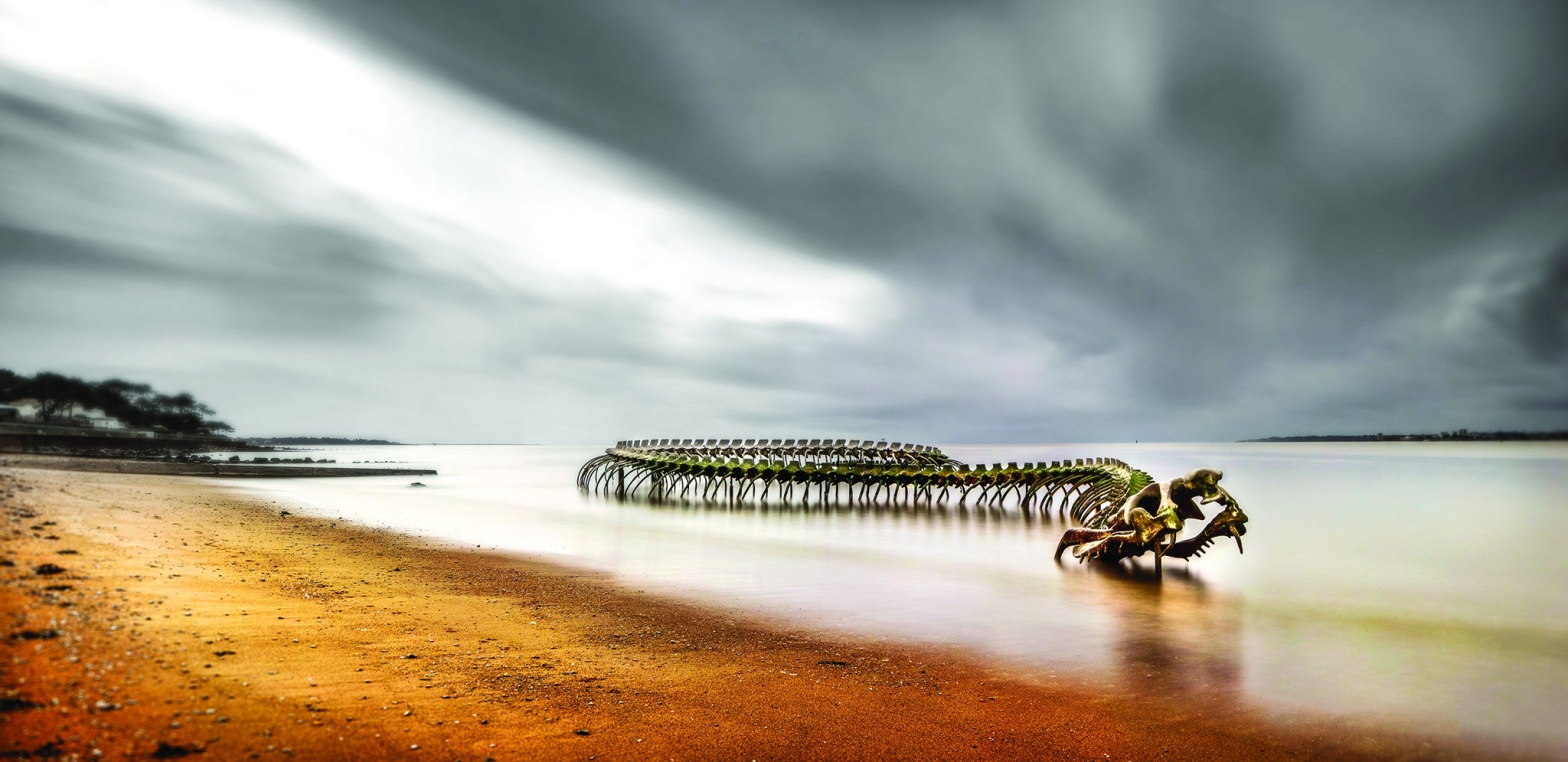 Carte postale DL Le Serpent de Mindin Saint-Brevin Saint-Nazaire