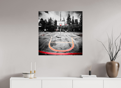 80 x 80 cm, TIRAGE PHOTO SOUS PLEXI BRILLANT Arbre à basket II