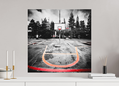 60 x 60 cm, TIRAGE PHOTO SOUS PLEXI MAT Arbre à basket II