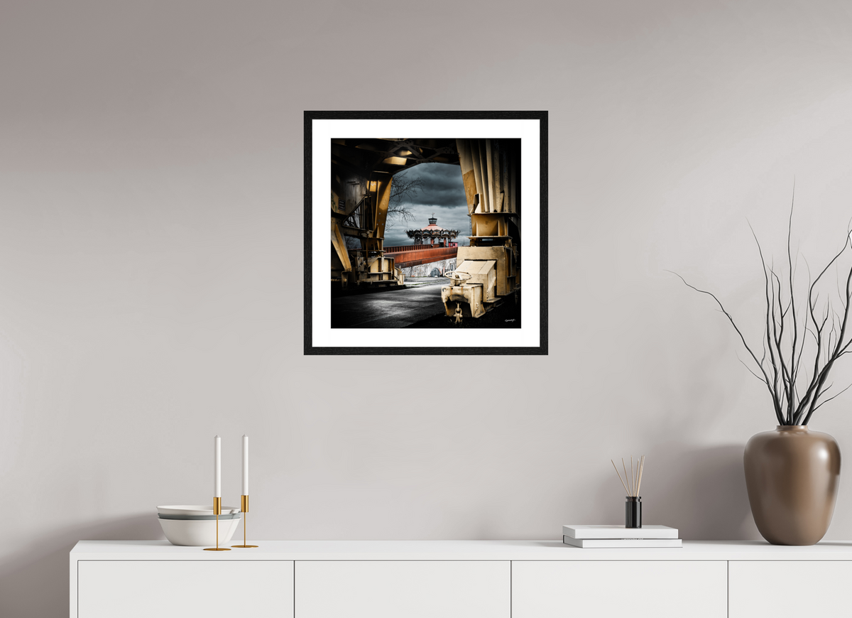 50 x 50 cm, FUJI PEARL la grue et le manège