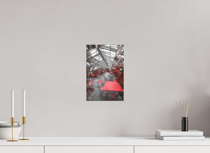 20 x 30 cm, TIRAGE PHOTO SOUS PLEXI MAT SERRE DU JARDIN DES PLANTES- Nantes