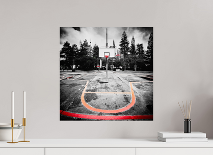 50 x 50 cm, TIRAGE PHOTO SUR FUJI CRYSTAL DP II Arbre à basket II