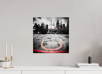 40 x 40 cm, TIRAGE PHOTO SUR FUJI CRYSTAL DP II Arbre à basket II