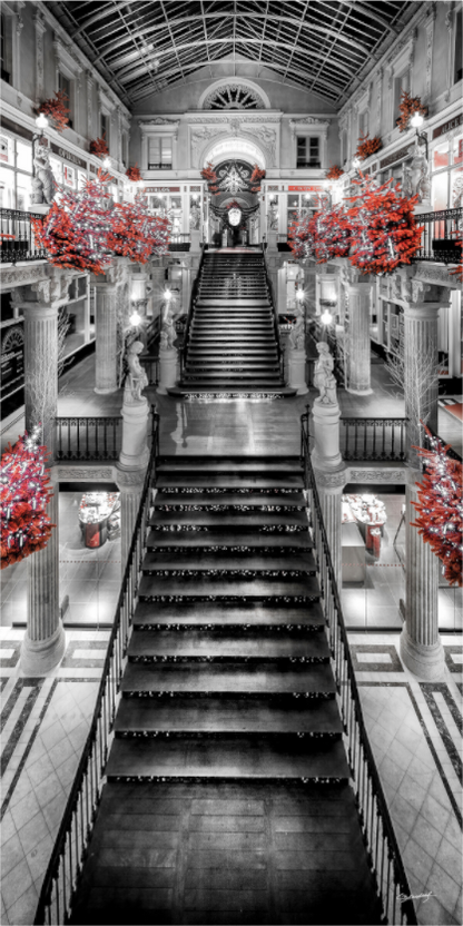 Main image POMMERAYE À NOËL - Nantes