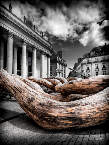 Main image L'ARBRE - Nantes