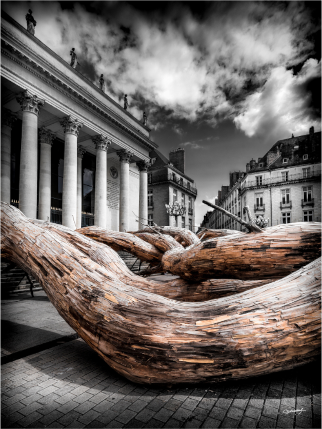 Main image L'ARBRE - Nantes