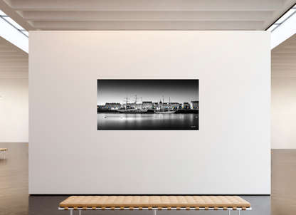 220 x 110 cm, TIRAGE PHOTO CONTRECOLLÉ SUR SUPPORT ALUMINIUM DEDORDS II LOIRE - Nantes