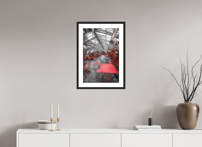 40 x 60 cm, CADRE GALERIE AVEC PASSE-PARTOUT SERRE DU JARDIN DES PLANTES- Nantes