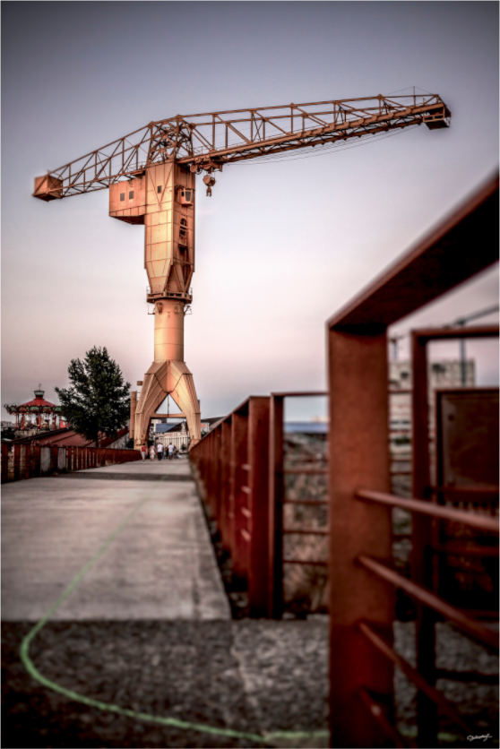 Main image LA LIGNE VERTE ET LA GRUE JAUNE