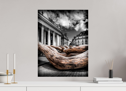 45 x 60 cm, TIRAGE PHOTO SOUS PLEXI BRILLANT L'ARBRE - Nantes