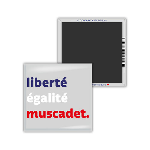 Magnets rectangulaires