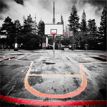 Main image Arbre à basket II