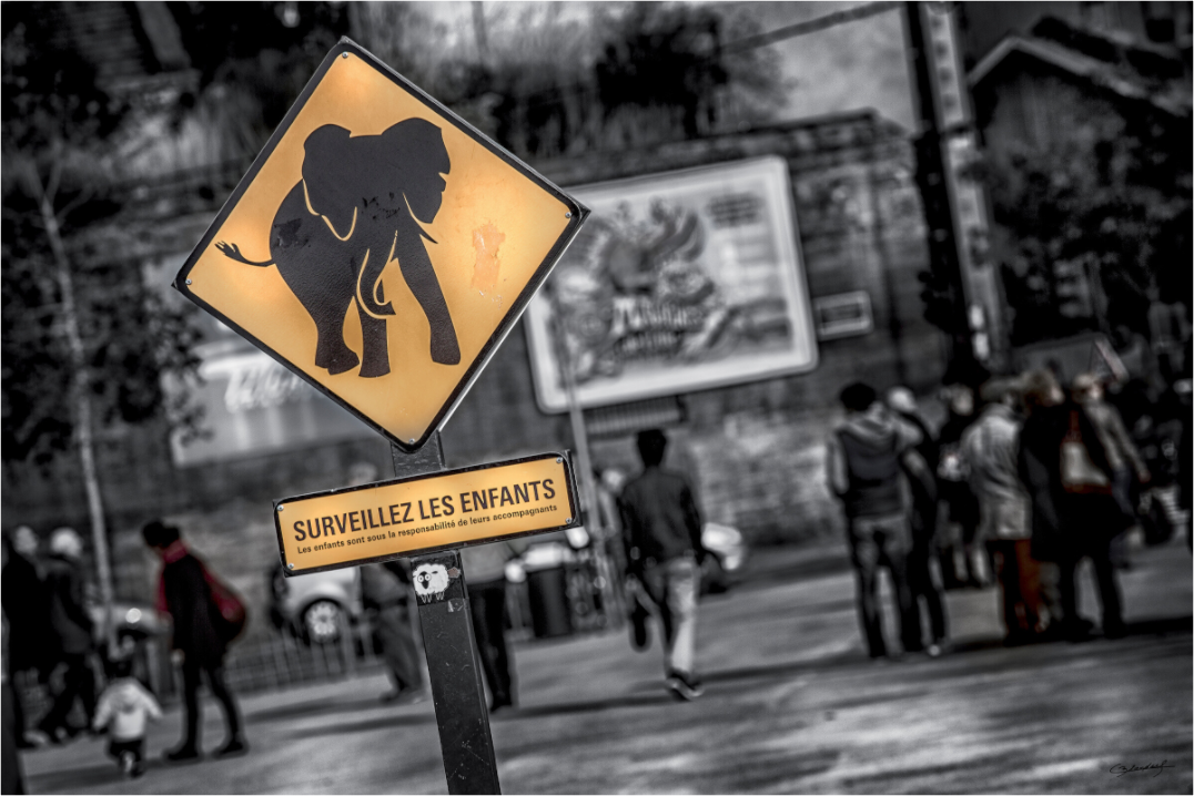 Main image SURVEILLEZ LES ENFANTS - Nantes