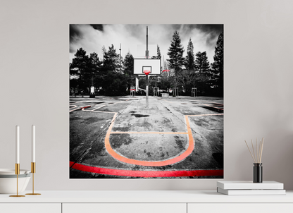 60 x 60 cm, TIRAGE PHOTO SUR FUJI CRYSTAL DP II Arbre à basket II
