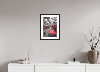 30 x 45 cm, CADRE GALERIE AVEC PASSE-PARTOUT SERRE DU JARDIN DES PLANTES- Nantes