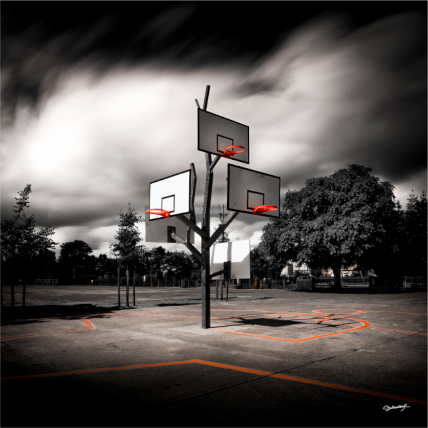 Main image ARBRE À BASKET