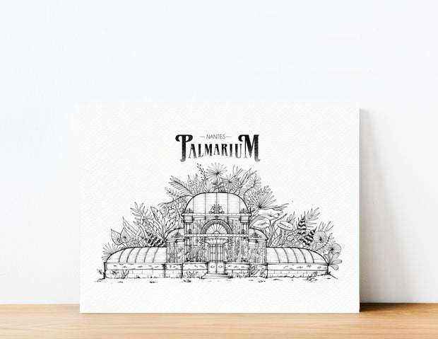 Le Palmarium (Noir et blanc) - Illustration de Geoffrey Berniolle