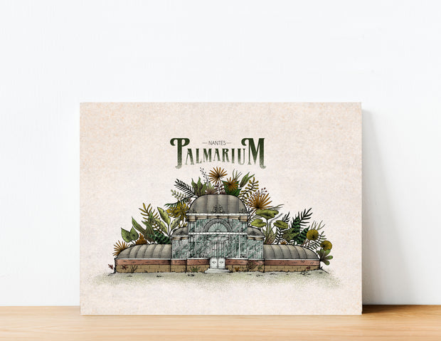 Le Palmarium (Couleurs) - Illustration de Geoffrey Berniolle